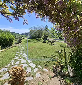 Foto annuncio 25