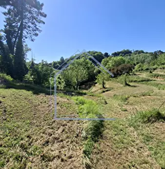 Foto annuncio 38