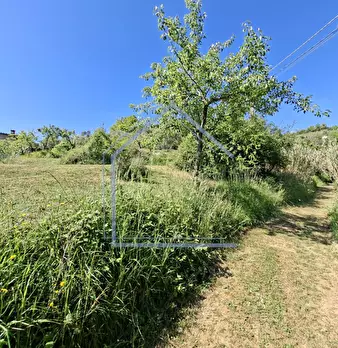 Foto annuncio 29