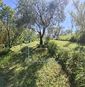 Foto annuncio 28