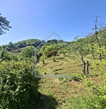 Foto annuncio 32