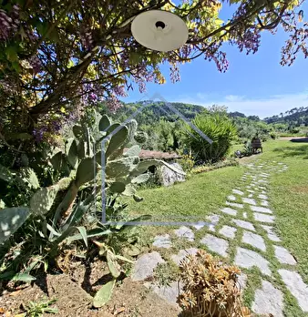 Foto annuncio 30