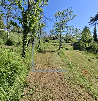 Foto annuncio 34