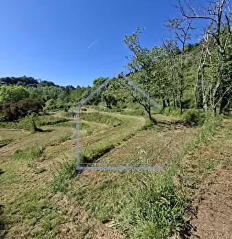 Foto annuncio 37