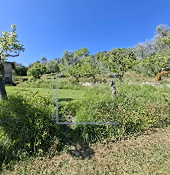 Foto annuncio 23