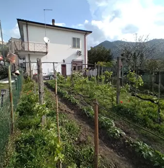 Foto annuncio 1