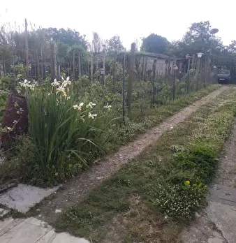 Foto annuncio 8