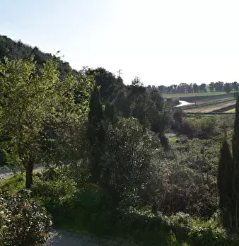 Foto annuncio 6
