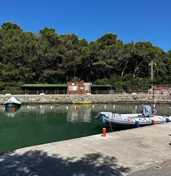 Foto annuncio 21