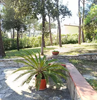 Foto annuncio 25