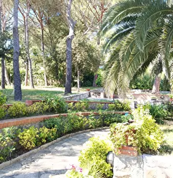 Foto annuncio 2