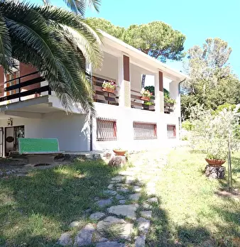 Foto annuncio 5