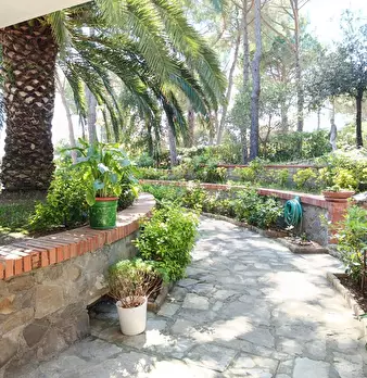 Foto annuncio 4