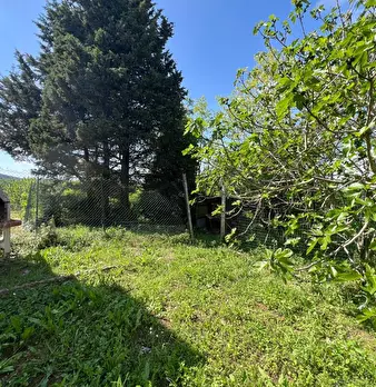 Foto annuncio 27