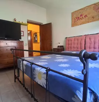 Foto annuncio 8