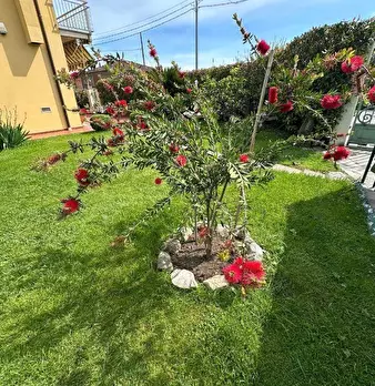 Foto annuncio 29