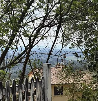 Foto annuncio 23