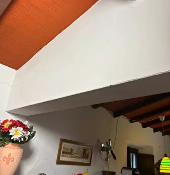Foto annuncio 19