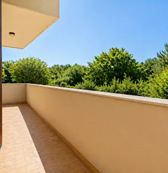 Foto annuncio 11