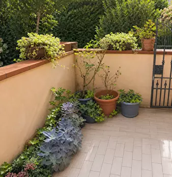 Foto annuncio 19
