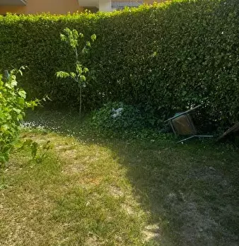 Foto annuncio 31