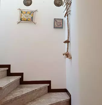 Foto annuncio 12