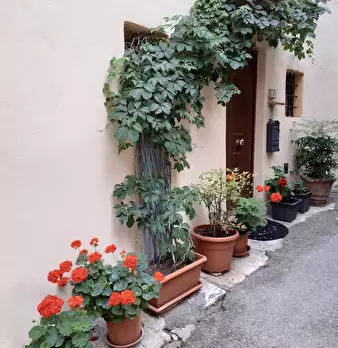 Foto annuncio 20