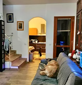 Foto annuncio 10