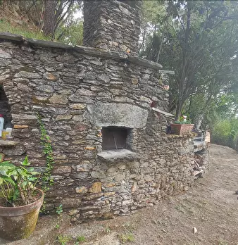 Foto annuncio 14