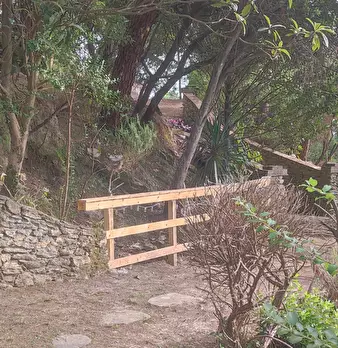 Foto annuncio 6