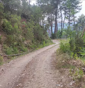 Foto annuncio 17