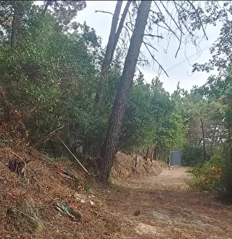 Foto annuncio 3