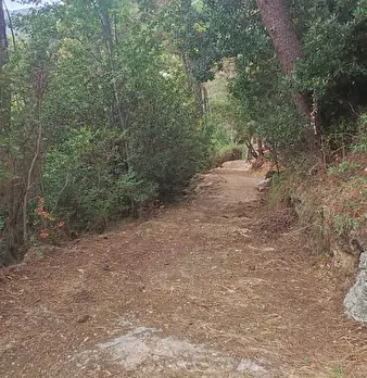 Foto annuncio 18