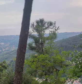 Foto annuncio 19