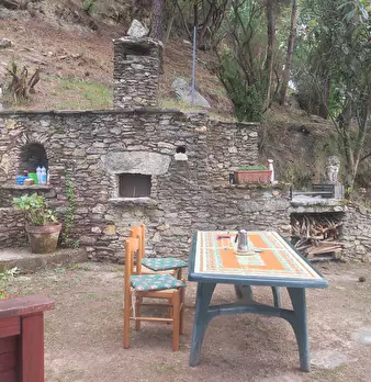 Foto annuncio 9
