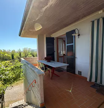 Foto annuncio 6