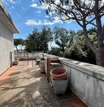 Foto annuncio 7