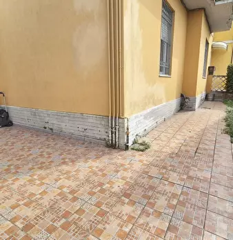 Foto annuncio 79