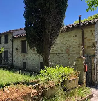 Foto annuncio 6