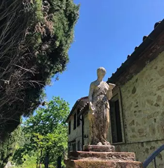 Foto annuncio 1