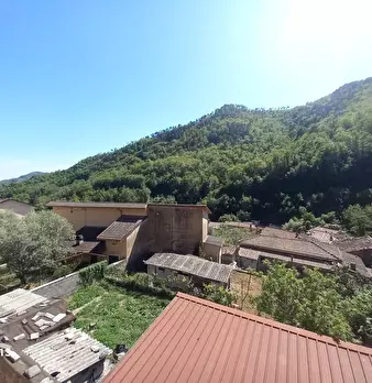 Foto annuncio 45
