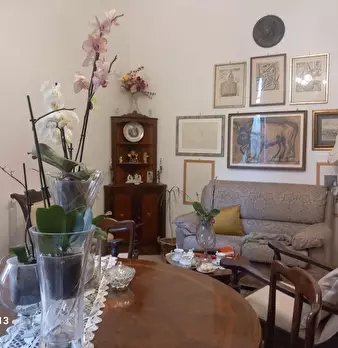 Foto annuncio 114