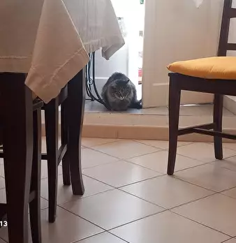 Foto annuncio 20