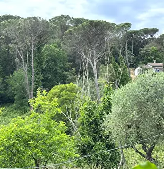 Foto annuncio 29