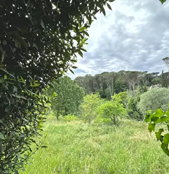 Foto annuncio 30