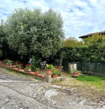 Foto annuncio 25