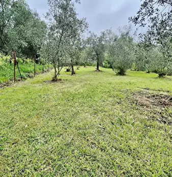 Foto annuncio 37
