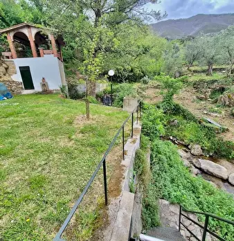 Foto annuncio 4