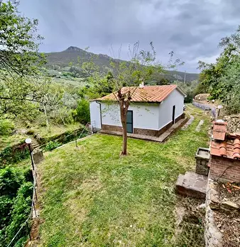 Foto annuncio 13
