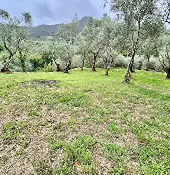Foto annuncio 36